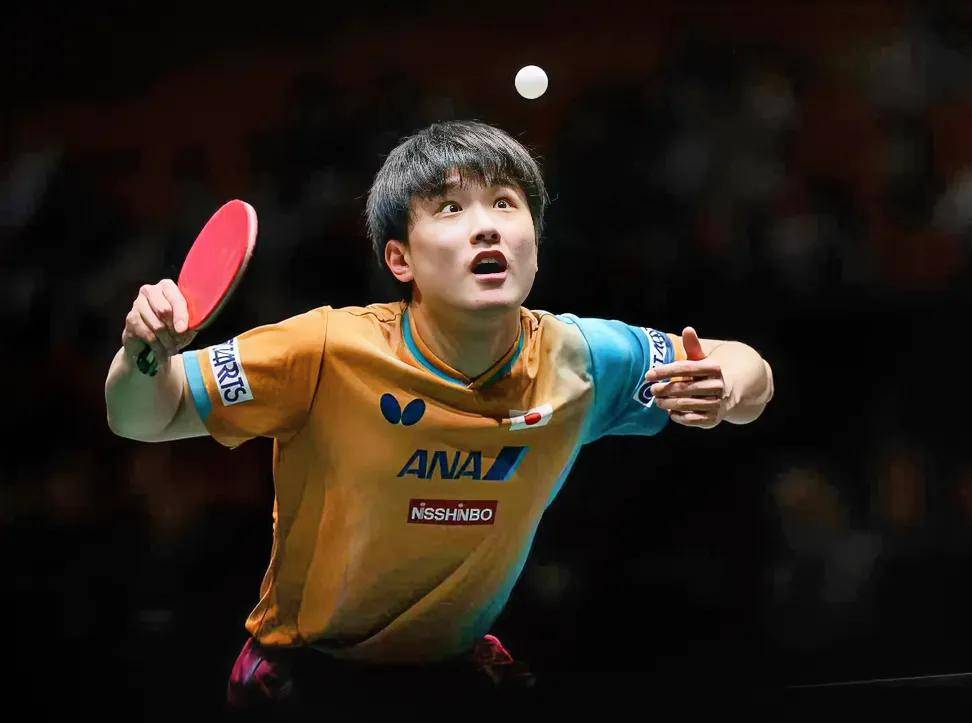 日本队绝杀德国队,张本智和统治全场 日本队绝杀德国队,张本智和统治全场